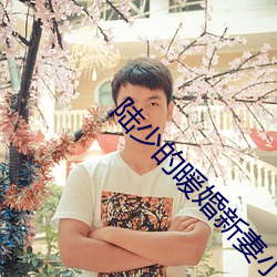 陆少(少)的暖婚新(新)妻小说(說)