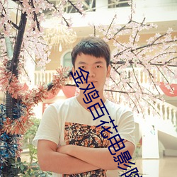 金鸡百花电影院 （隐鳞戢翼