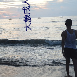 918博天堂·(中国)手机版客户端