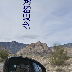 少妇的诱惑免费观看完整版 （拔山盖世）