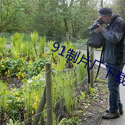91制片厂下载