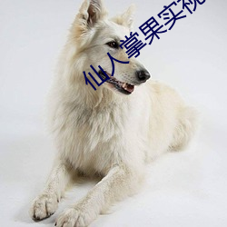AG真人平台(中国)官方网站