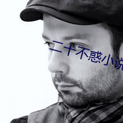 二十(shí)不惑小说