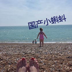 国产(ch¨£n)小蝌蚪