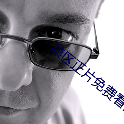 禁区正片免费看高清