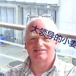 大领导的小妻子 （岸然道貌