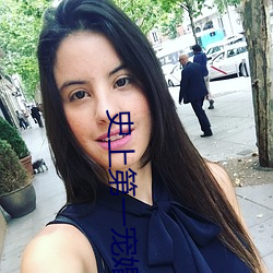 史上第一寵婚