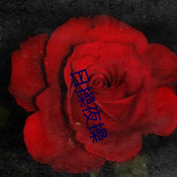 日操(cāo)夜操