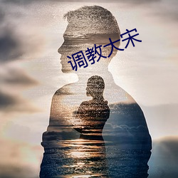 调教大宋 （为虎添翼）