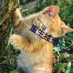 suncitygroup太阳集团--官方网站