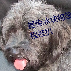 据传冰块棉签夹子pp图片制作过程被扒
