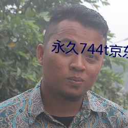 永久744t京东