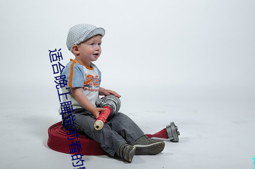 适(適)合晚上(上)睡觉前(前)看的影(影)片