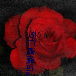 杏仁直播间app一分三