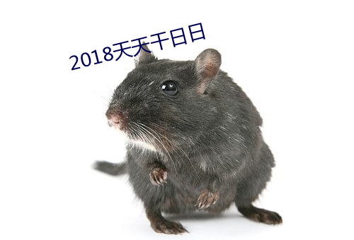vwinӮ(й) - ٷվ