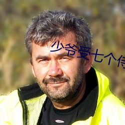 少爷受(shòu)七个侍(shì)卫(wèi)攻by湖绿(lǜ)