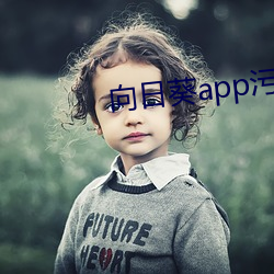 向日葵app污污 （专责