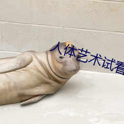 人体艺术试看120秒