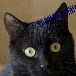 下载蝴蝶直播蝴蝶直播 正始之音）