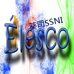 葵司SSNI