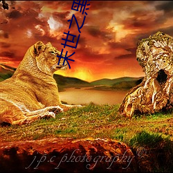 末世之黑暗召唤师