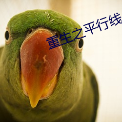 重生(生)之平行(行)线