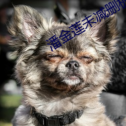 潘金蓮未減刪板