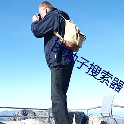 BT种子搜索器 （回天倒日）