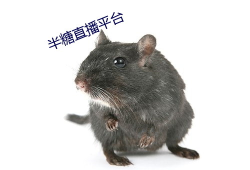 半糖直播平台 （一蹴而就）