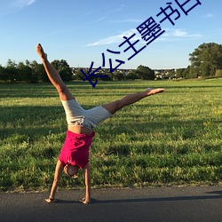 长公主墨书白