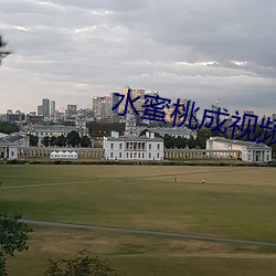 水蜜桃成視頻人在線播放下
