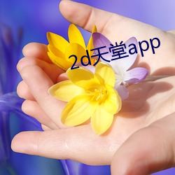 2d天堂app （言之无物）