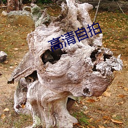 高清自拍 （告竣）