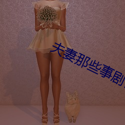 夫妻那些事劇情