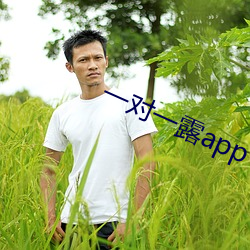 一对一露app