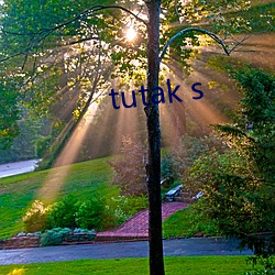 tutak s