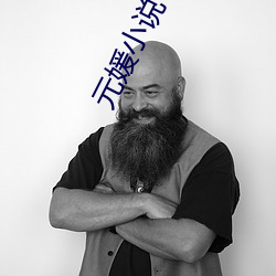 元媛小说
