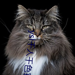 ysl千人千色官网