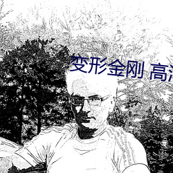 变(變)形金刚 高(高)清