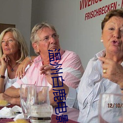 温州白鹿电影院 （上党梆子）