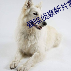 爱(i)唯侦(zhn)察新(xīn)片集合亚洲