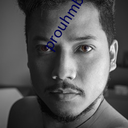 prouhmb官网(網)