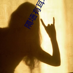 隔墙有耳小说
