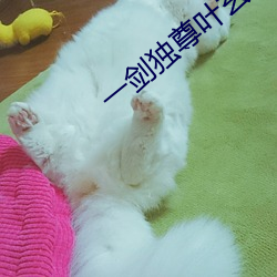 一剑独尊叶玄 （无能为役）