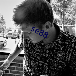 se88