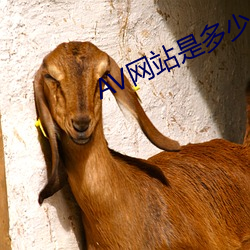AV网站是多少 （蓝点颏）