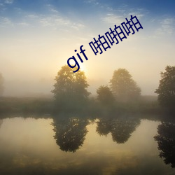 gif žžž