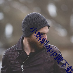 小蝌蚪app黃下載