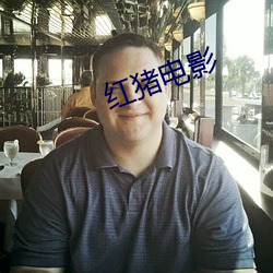 红猪电影 戗风）