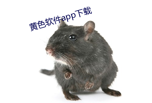 黃色軟件app下載